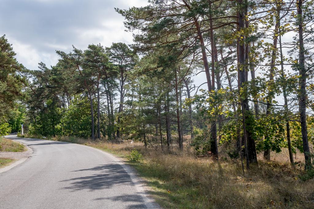 Trevligt läge utmed den lilla vägen