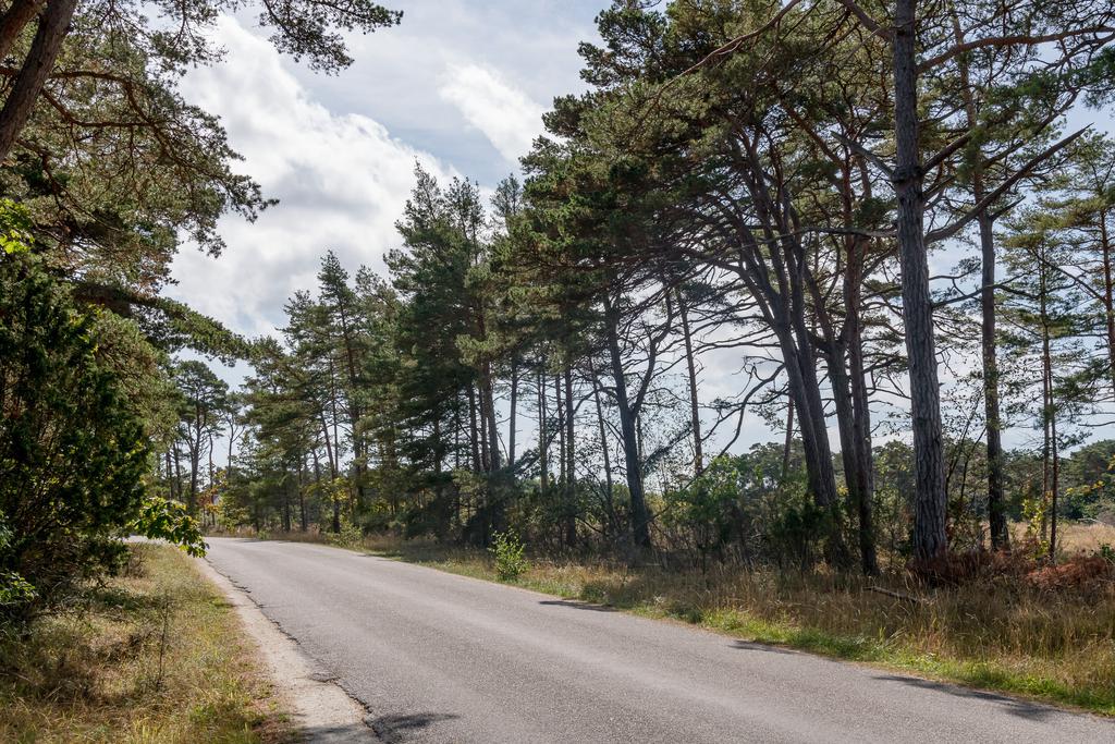 Mycket trevlig och populär väg ner mot Holmhällar
