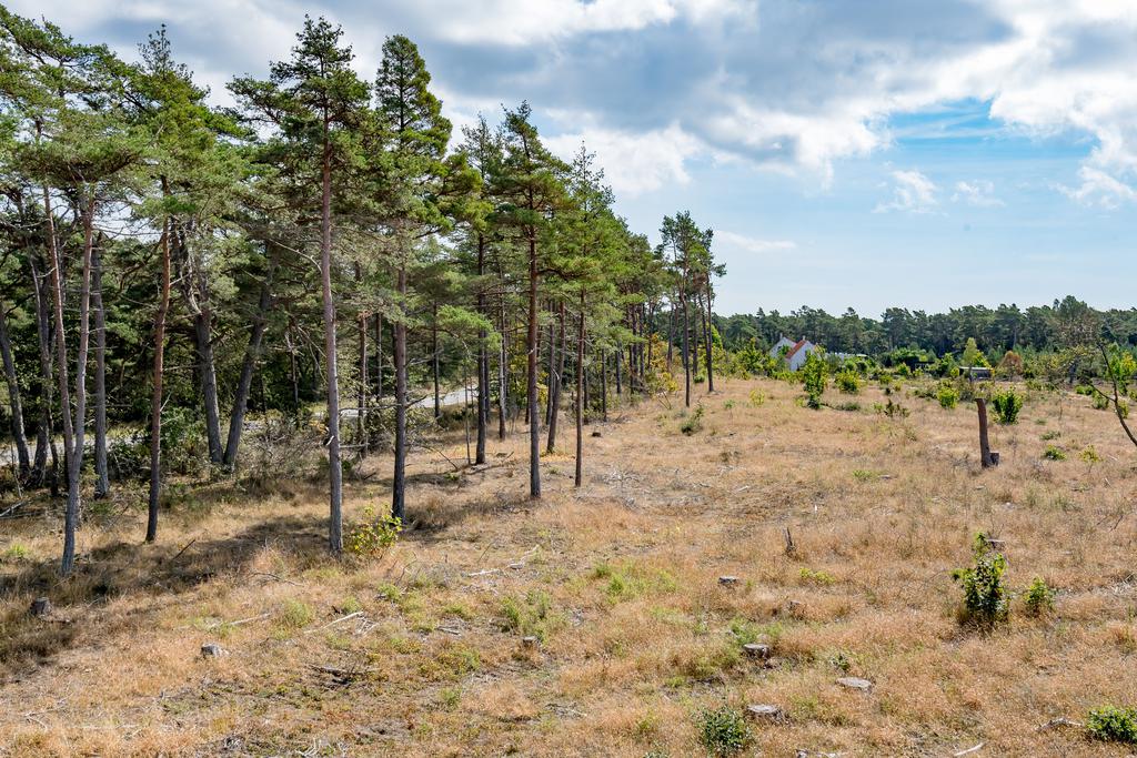 Fint och soligt läge