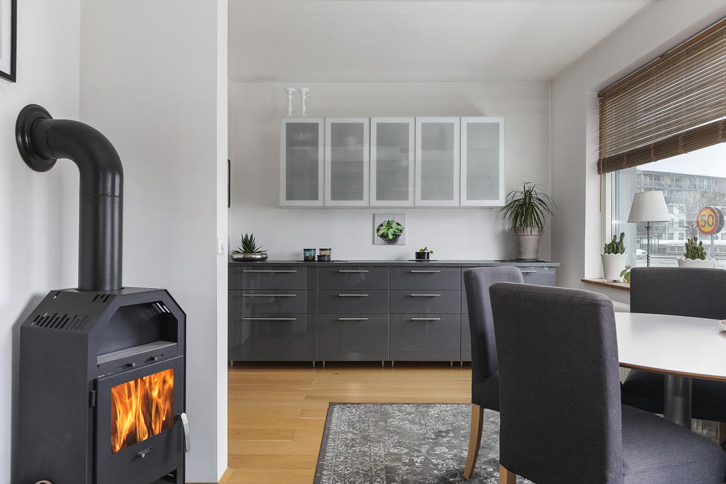 Kamin för vintermyset!