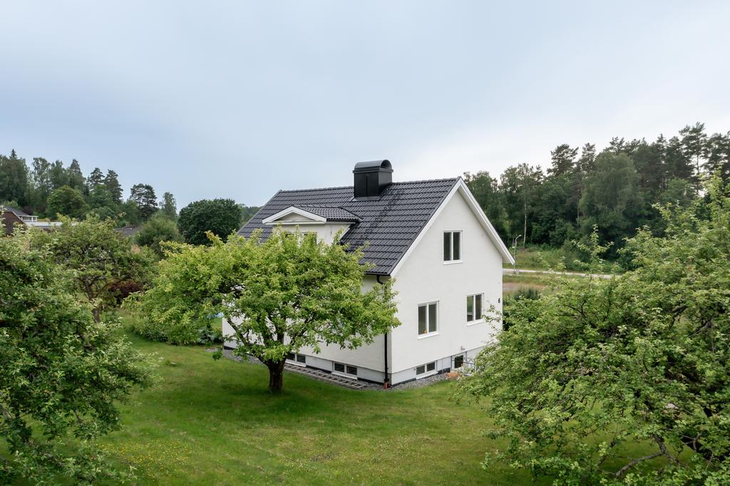Trädgård med fruktträd