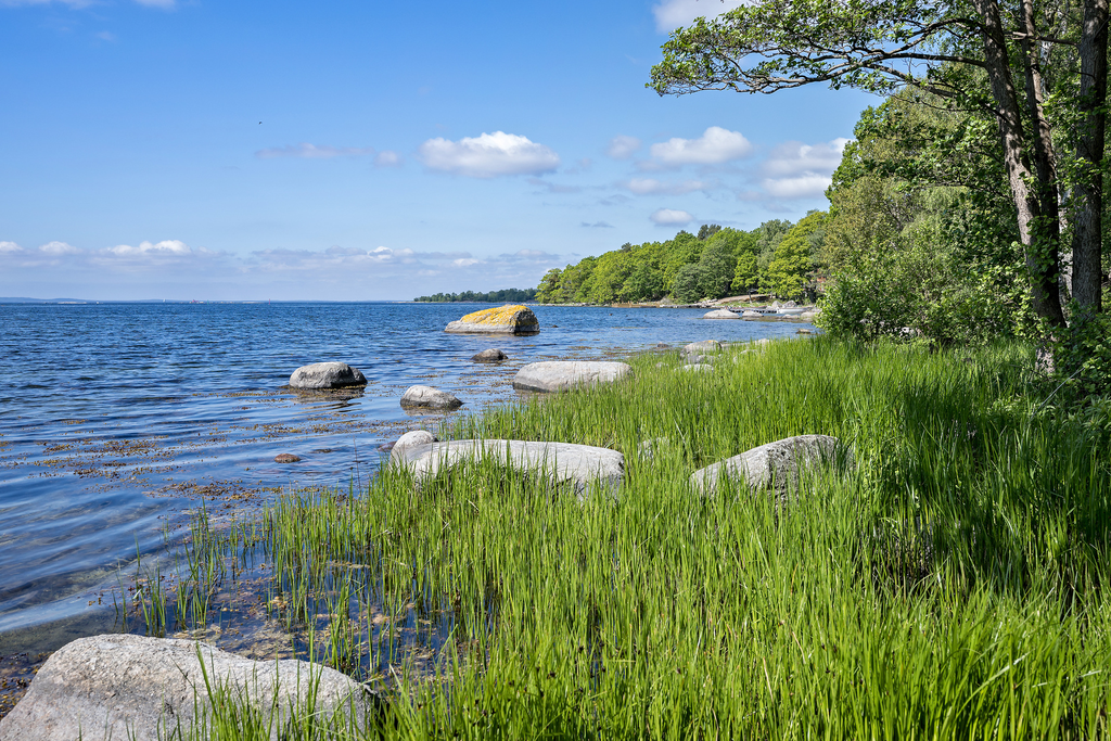 Kåsa
