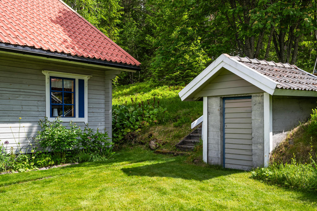 Trädgård