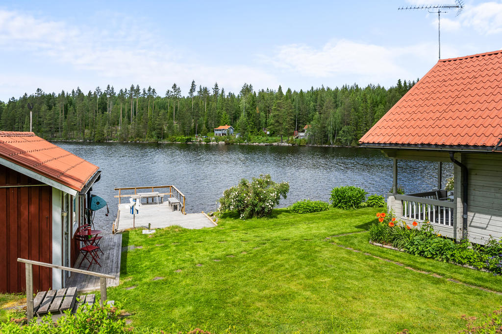 Trädgård