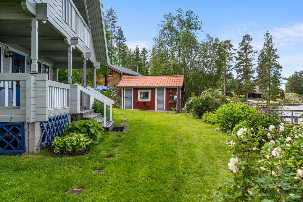 Trädgård
