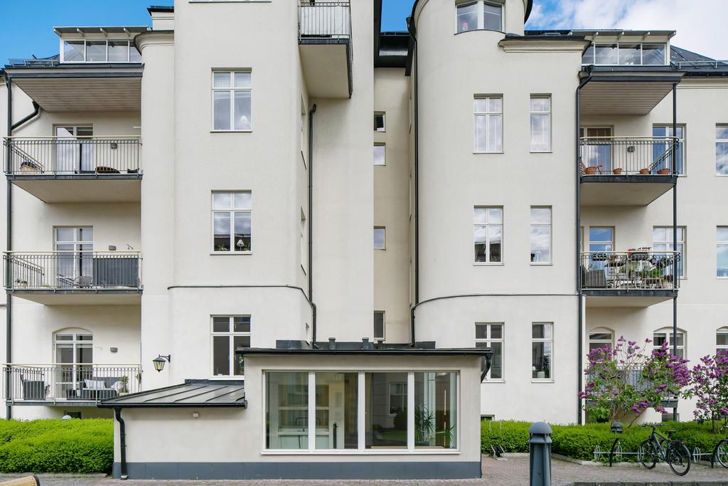 Välskött baksida
