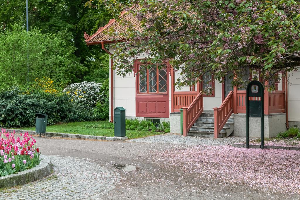 Trädgårdsföreningen