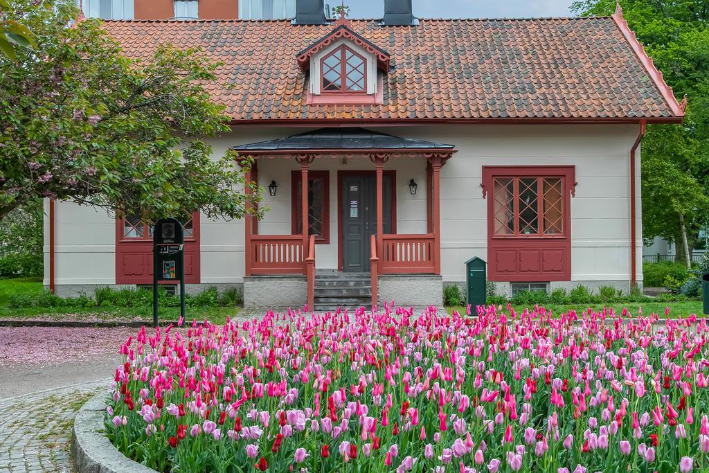 Trädgårdsföreningen
