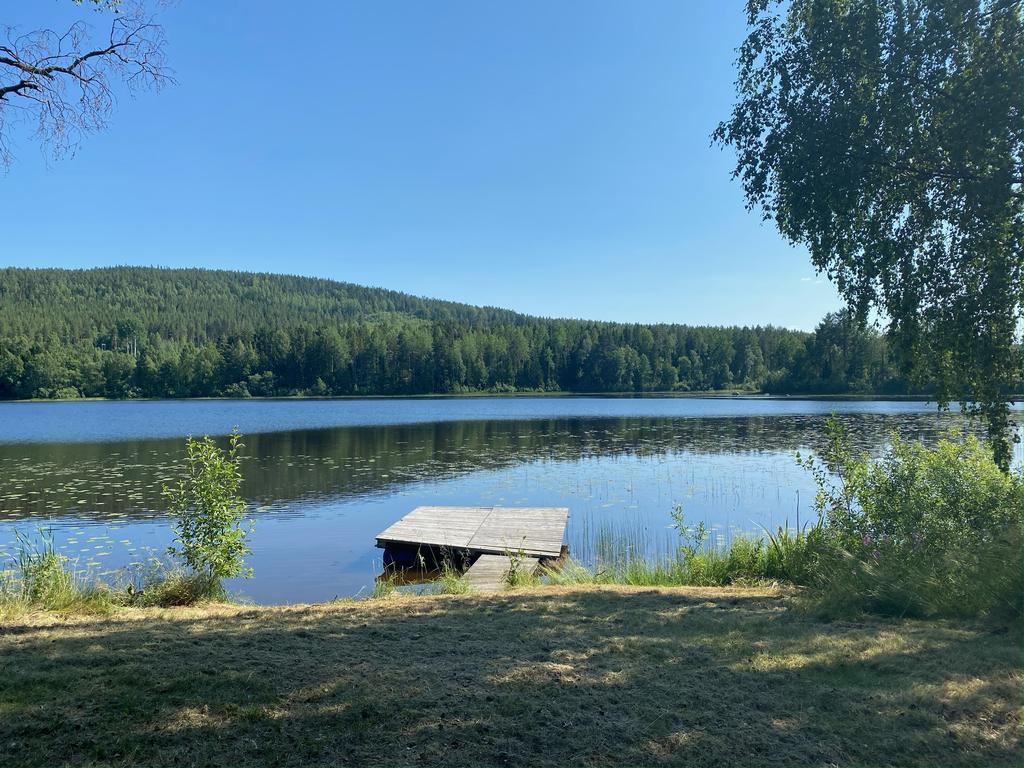 Bild över älven Ljusnan, ca 150 meter från fastigheten