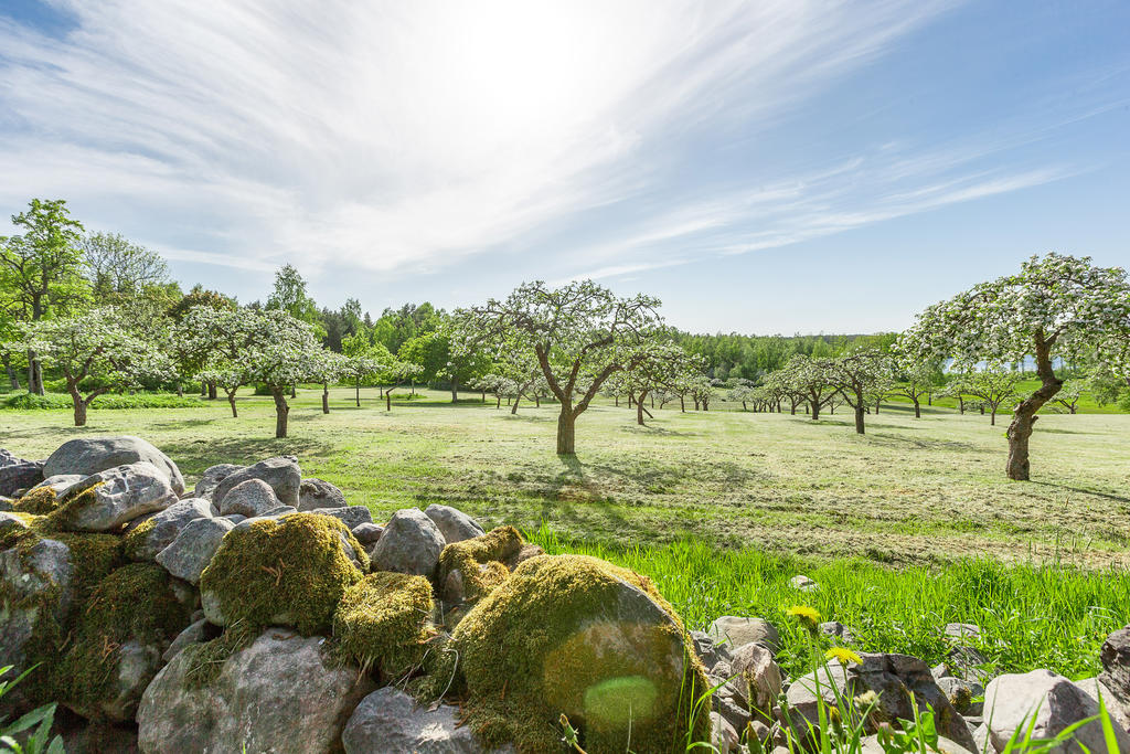 Intill fantastiska äppelträdgården