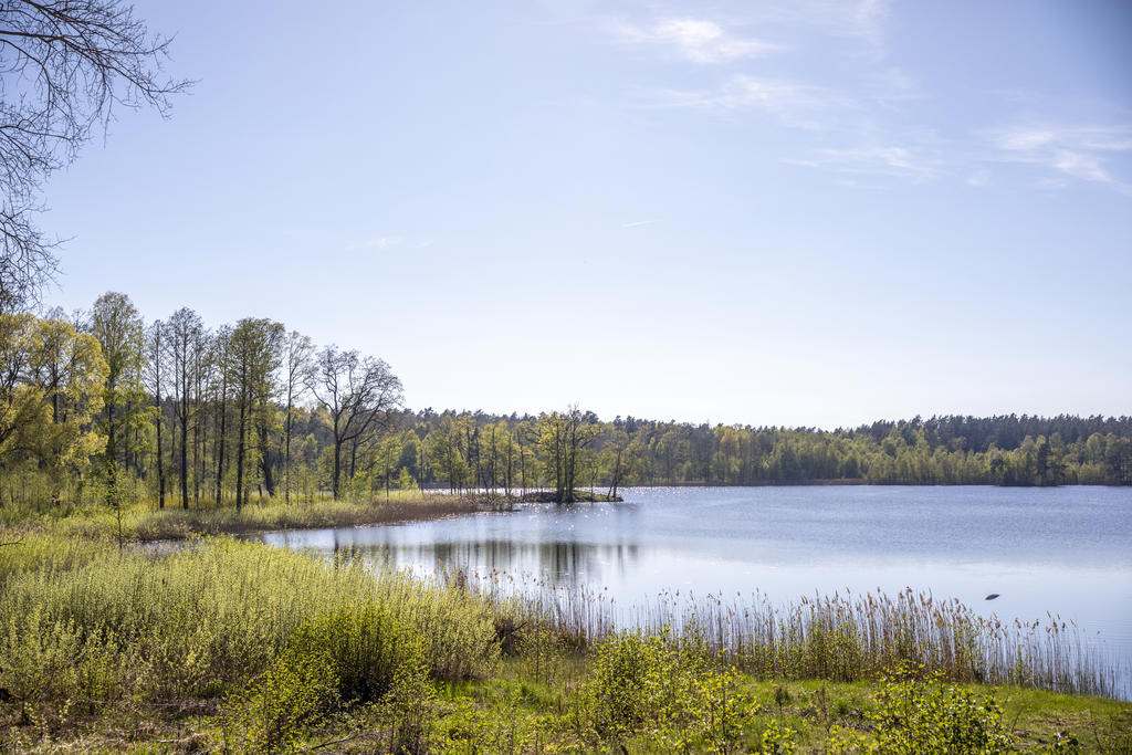Maren med fina strövområden