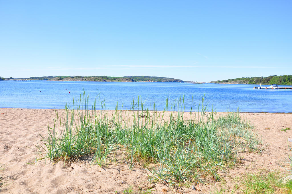 Grebbestad miljöbild strand