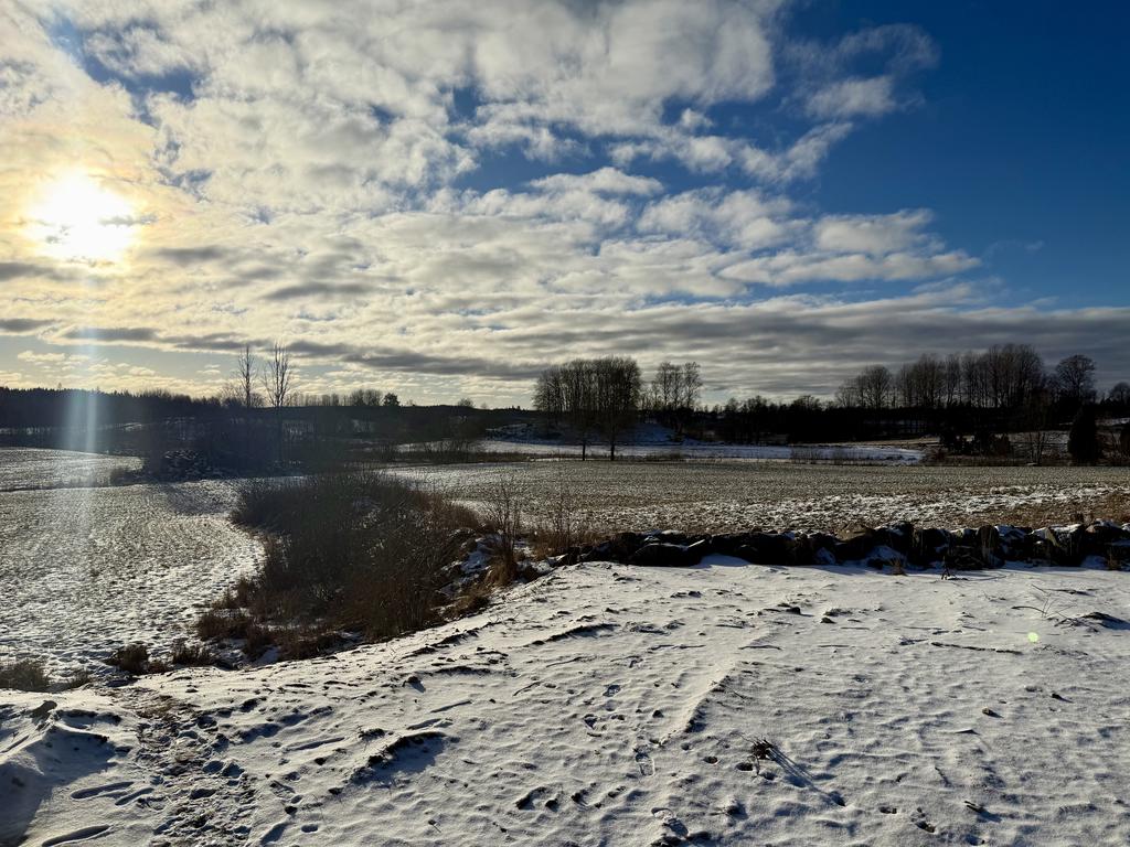 Vy från baksidan av tomten. 
