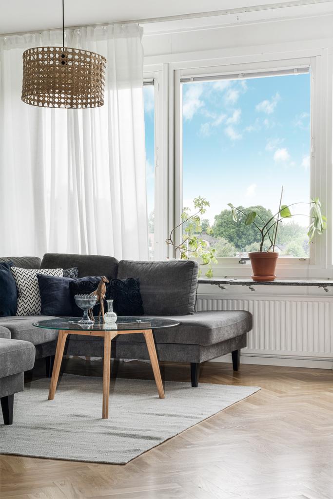 Fin utsikt från vardagsrummet över takåsarna