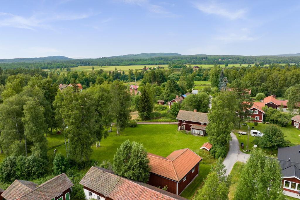 Vy över tomten med rivningshuset, jordkällaren och ladan.