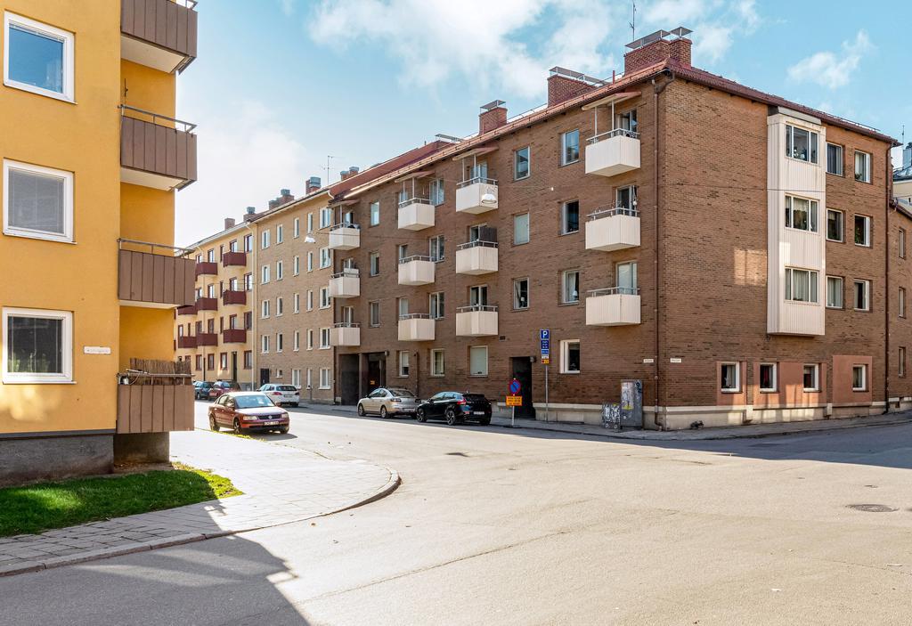 Musköten nr 14