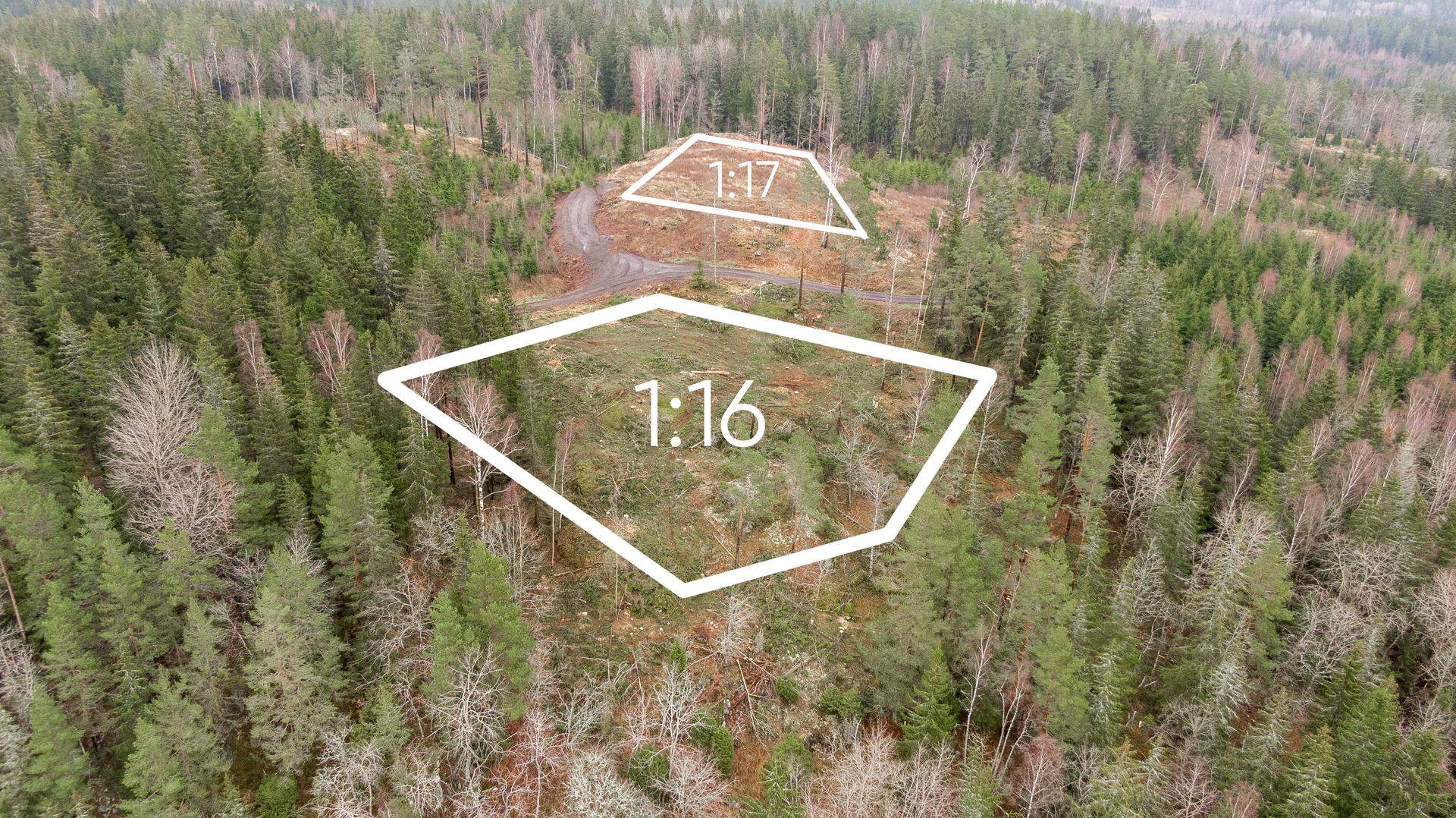 - Bild