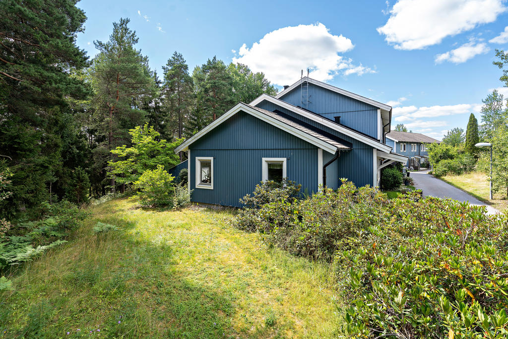 Mycket grönska och odlingsmöjligheter i trädgården