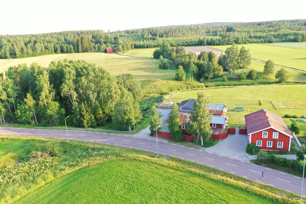 Uppe i skogen finns fina promenadstråk, gamla E4, slingrande grusväg som tar dig vidare söderut.