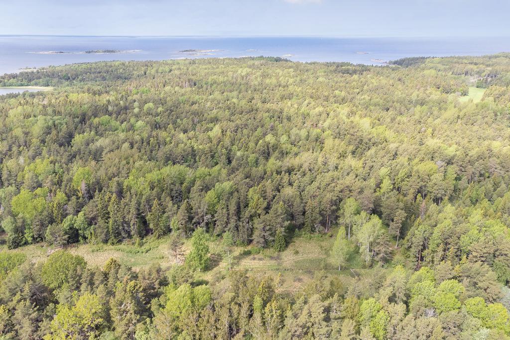 Vy över skiftet i gläntan på Gräsö