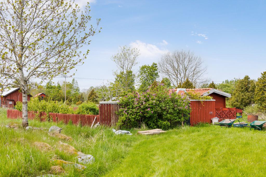 Köksträdgård baksidan hus