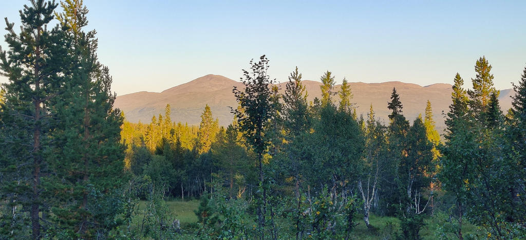 Fantastiska omgivningar. Säljarens privata bild. 