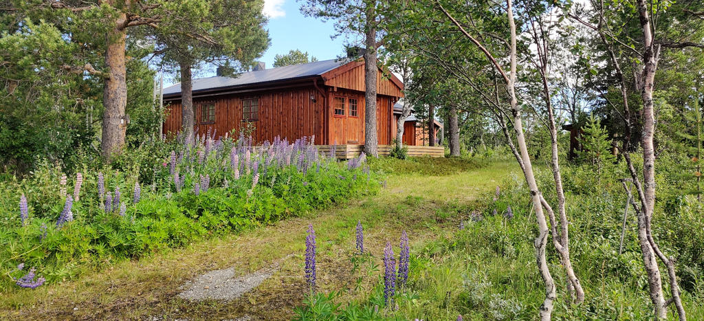 Här har du fjällvärlden runt knuten! Säljarens privata bild. 