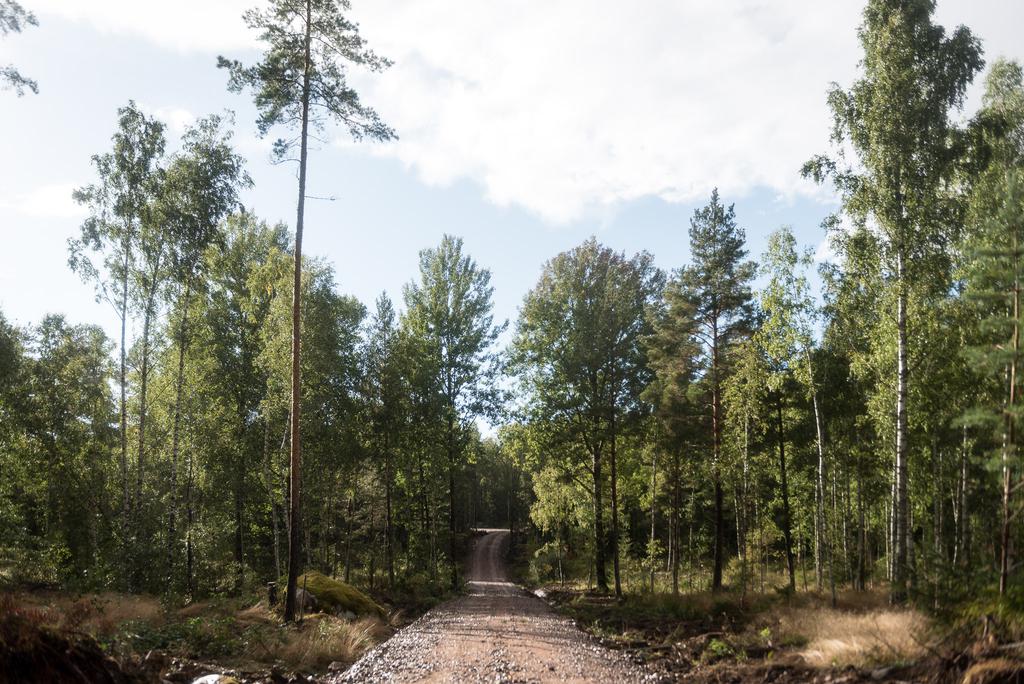 Väl anlagd väg
