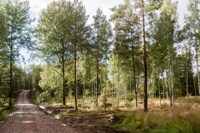 Välkommen hem!