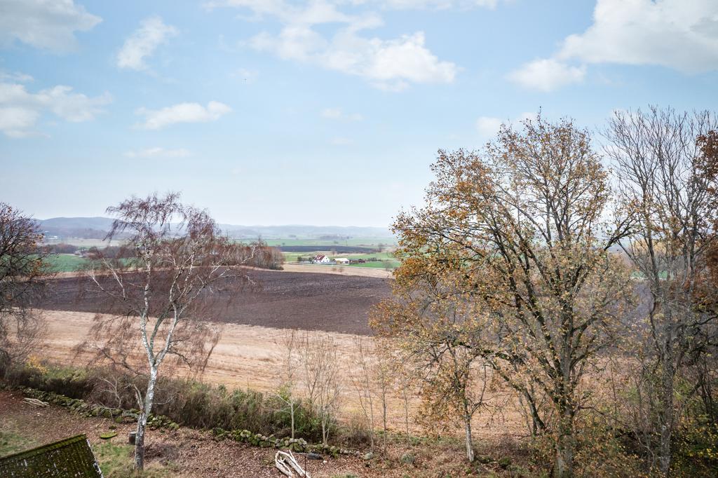 Vackra vyer från tomten