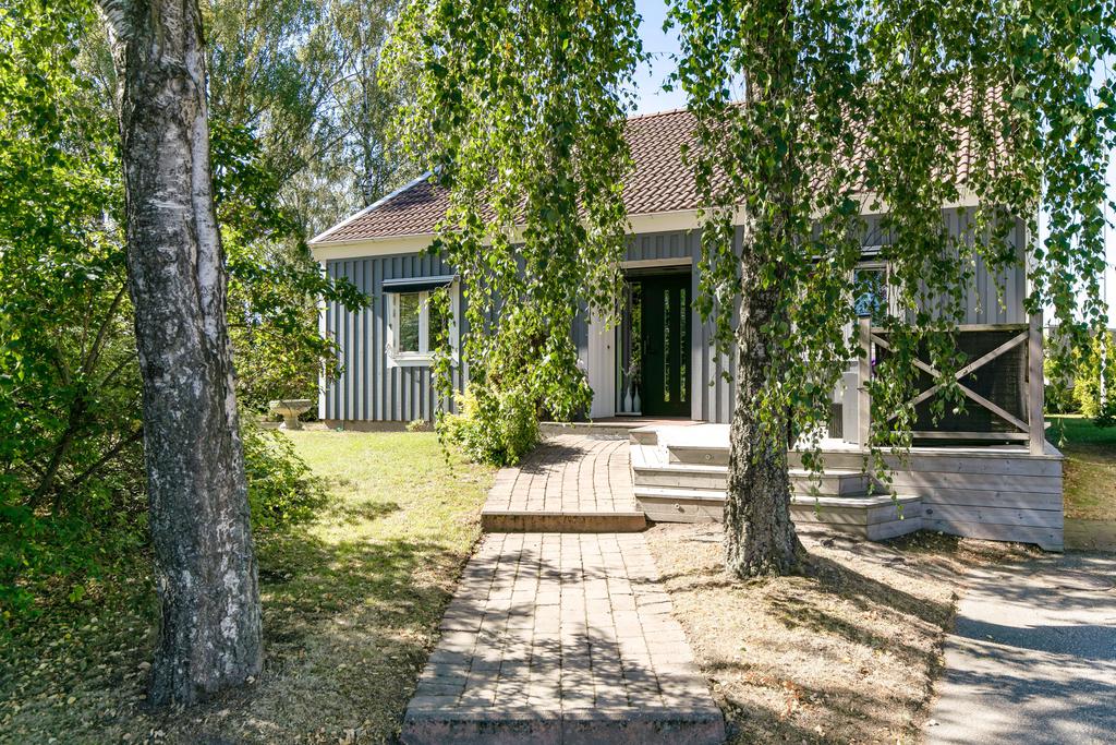 Entré kantade av björkar