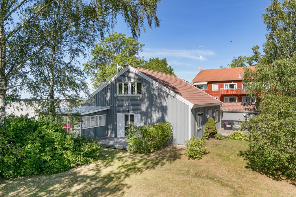 Trädgård