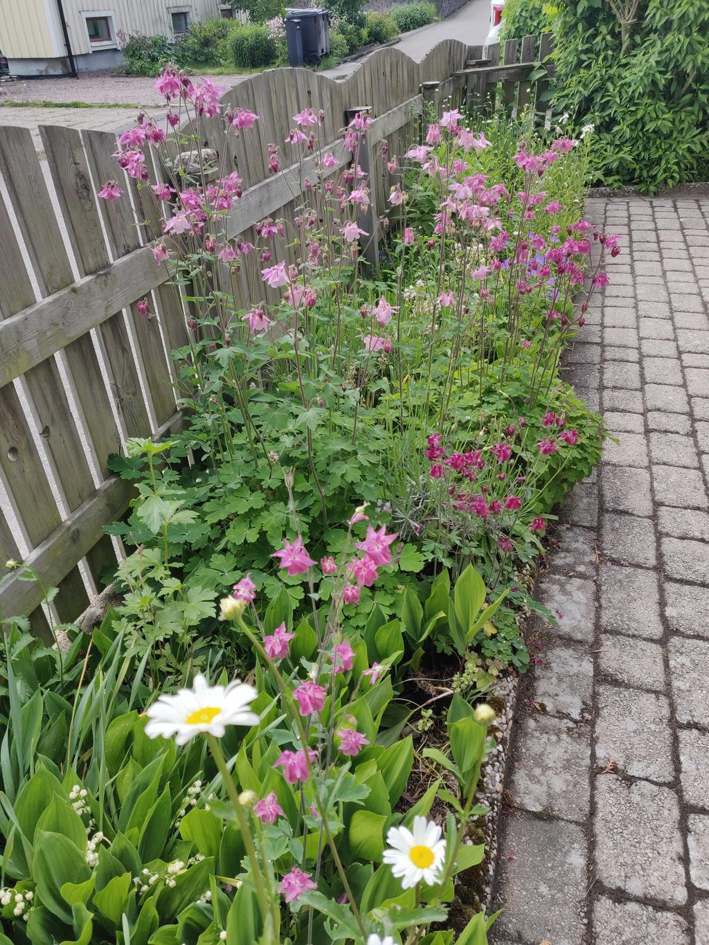 Säljarens sommarbilder