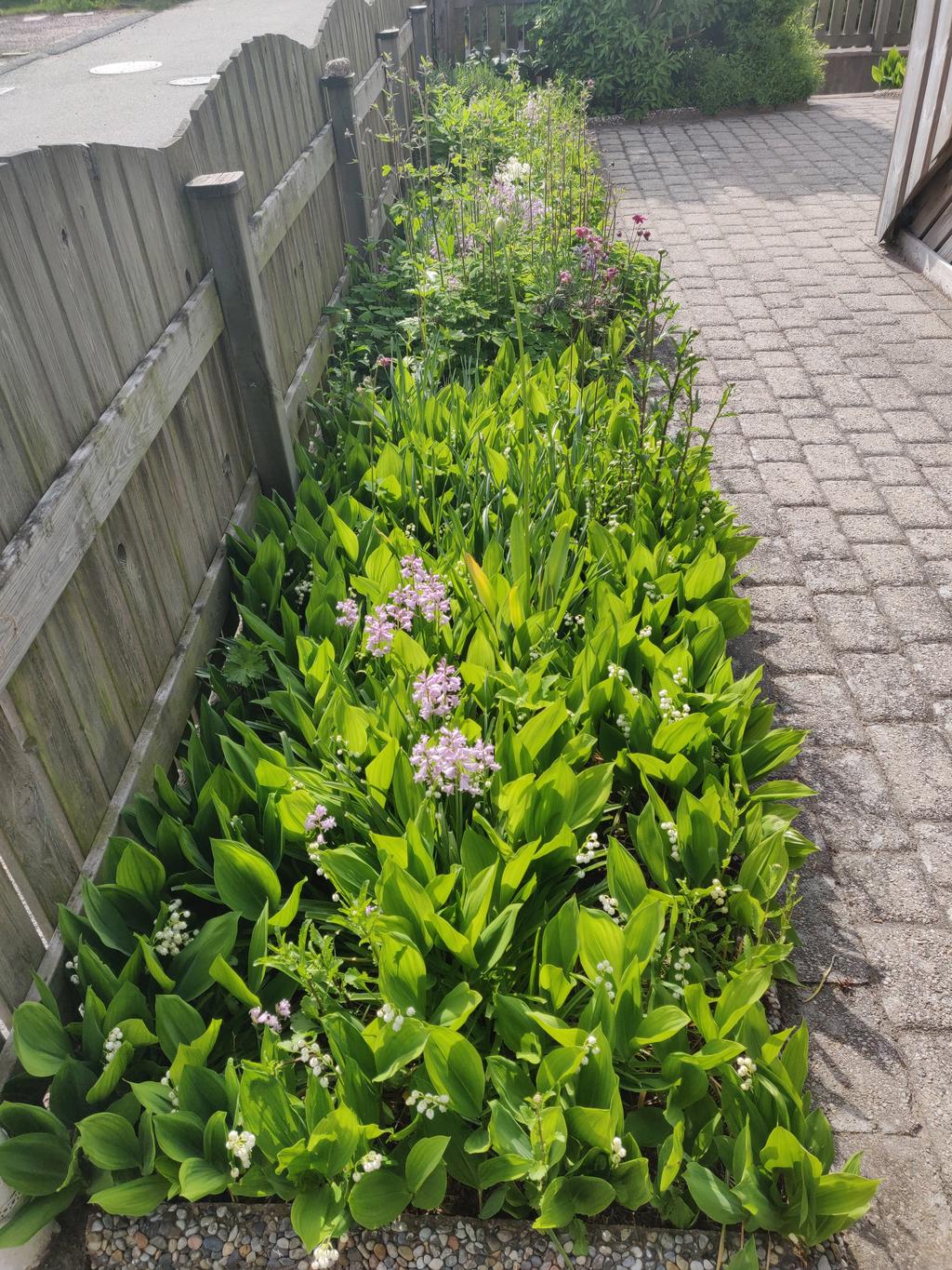 Säljarens sommarbilder