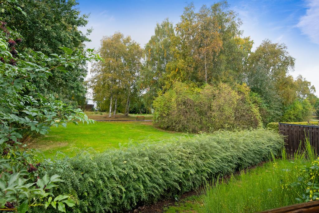 Grönområde i anslutning till tomten