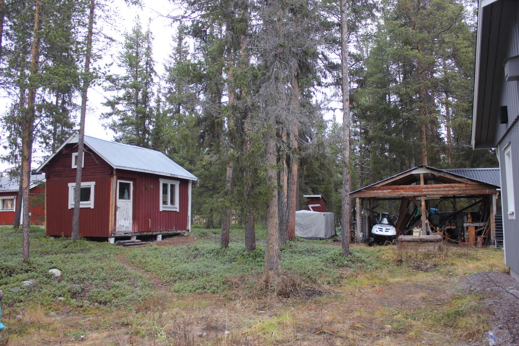 Höstbild från 2022