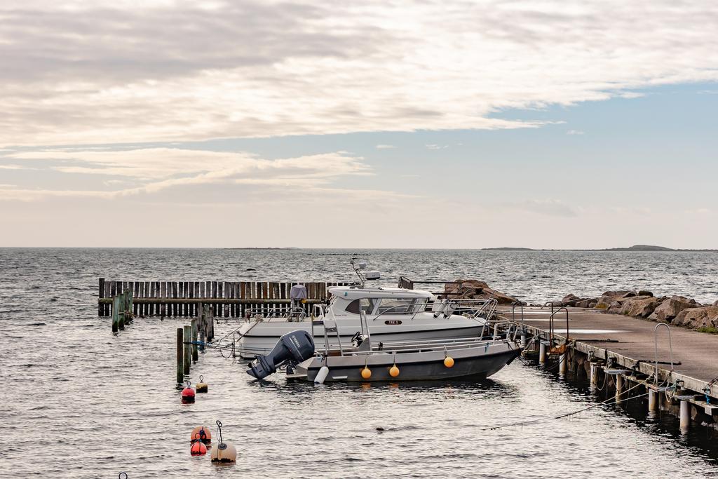 Småbåtshamn