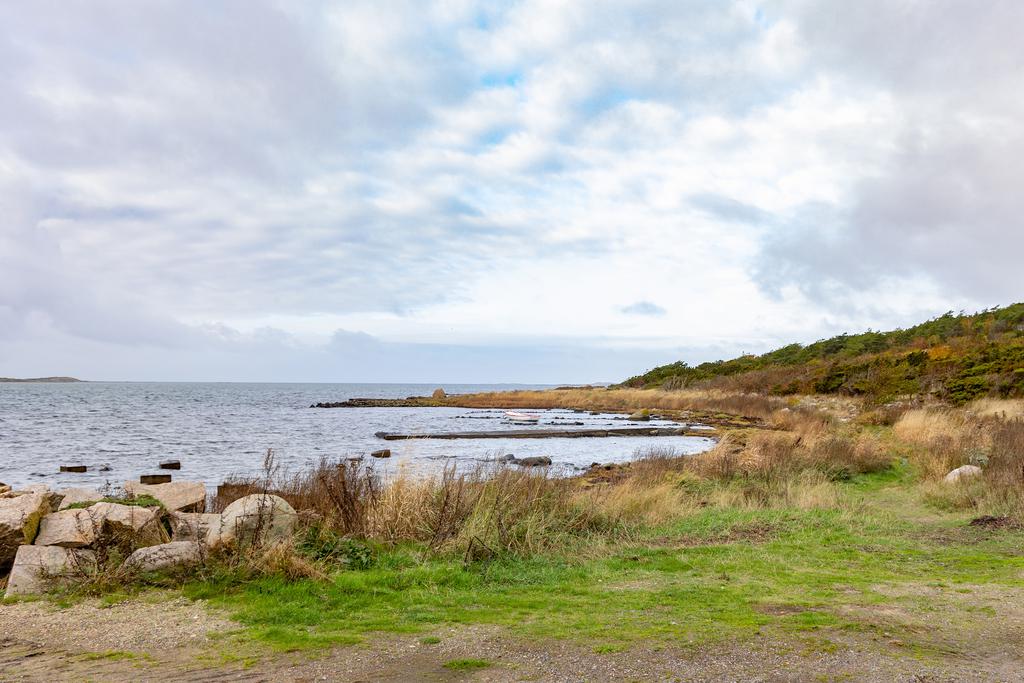Balgöbrygga