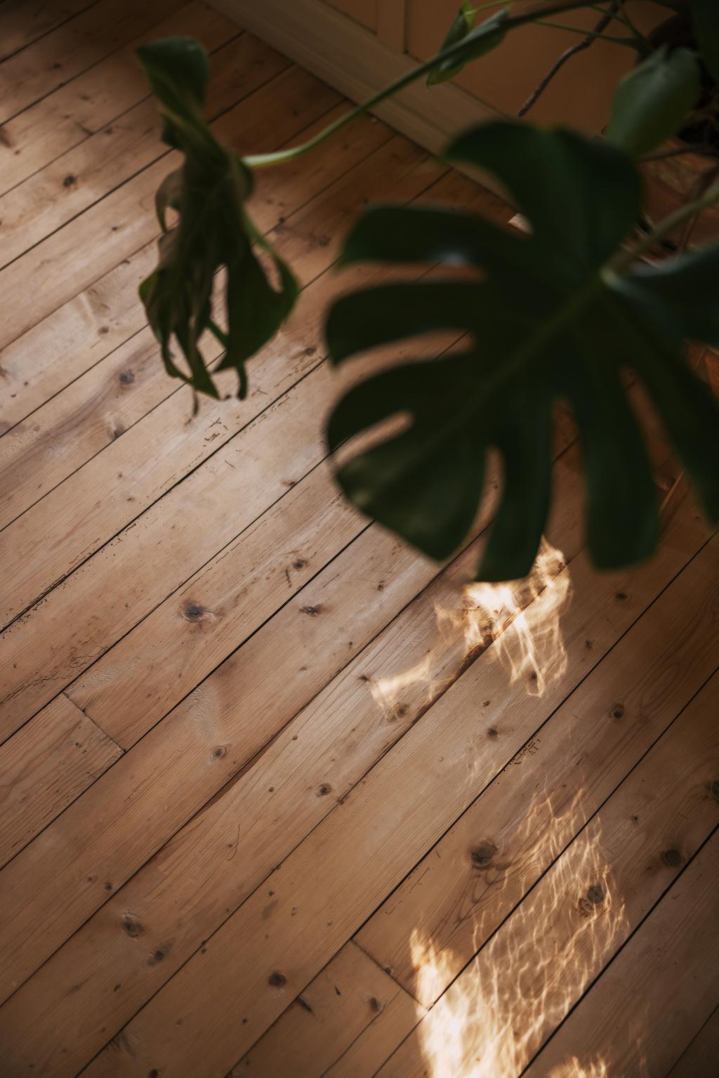 De vackra trägolven löper genom hela huset