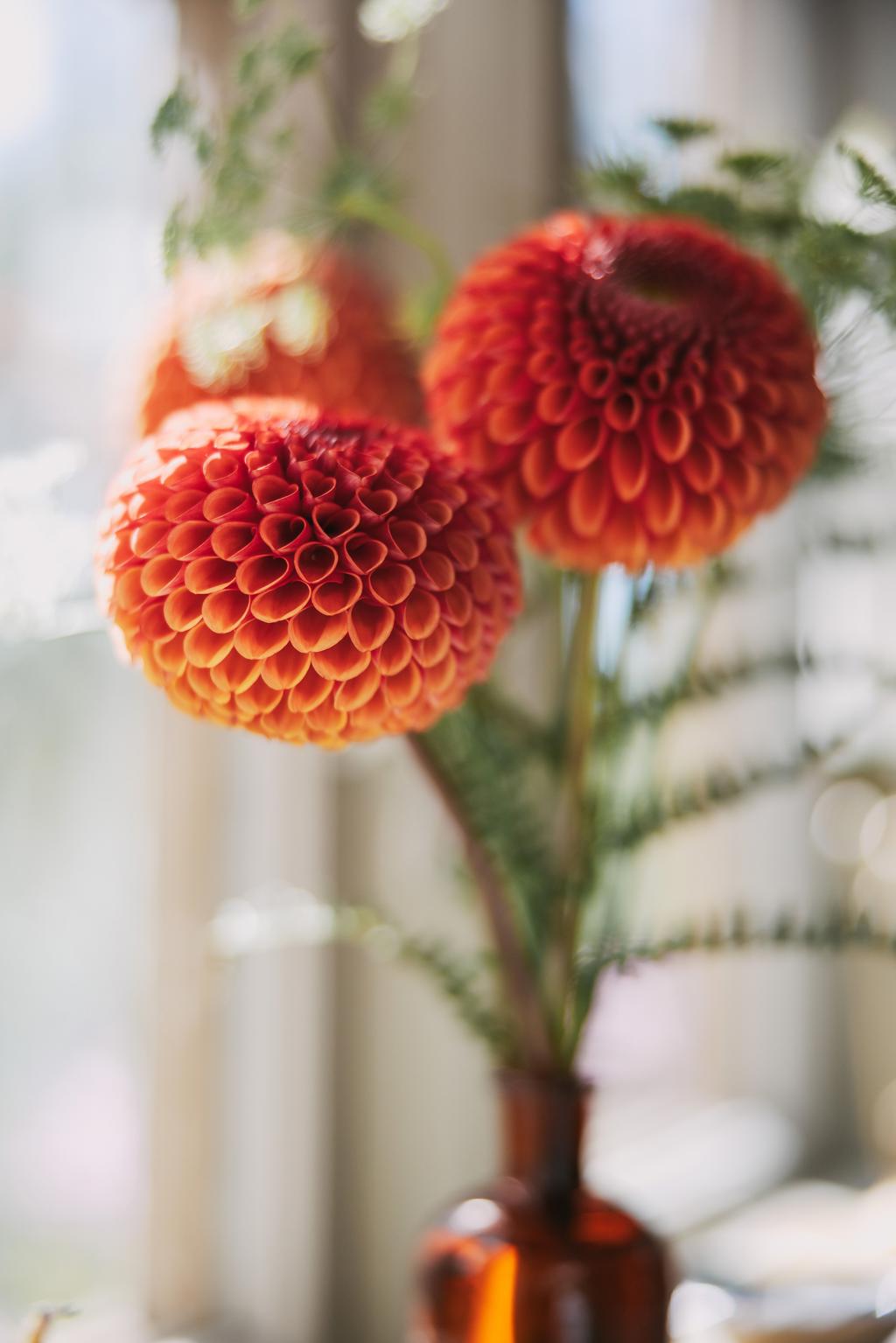 Låt naturen flytta in med blommor direkt från trädgården