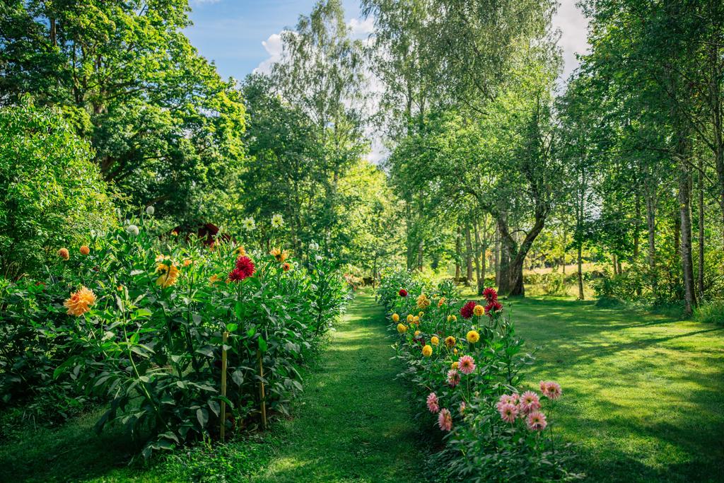 Pryd köksbordet med vackra blommor från din alldeles egna blomsterträdgård