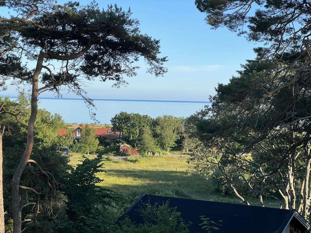 Säljarens egna bilder