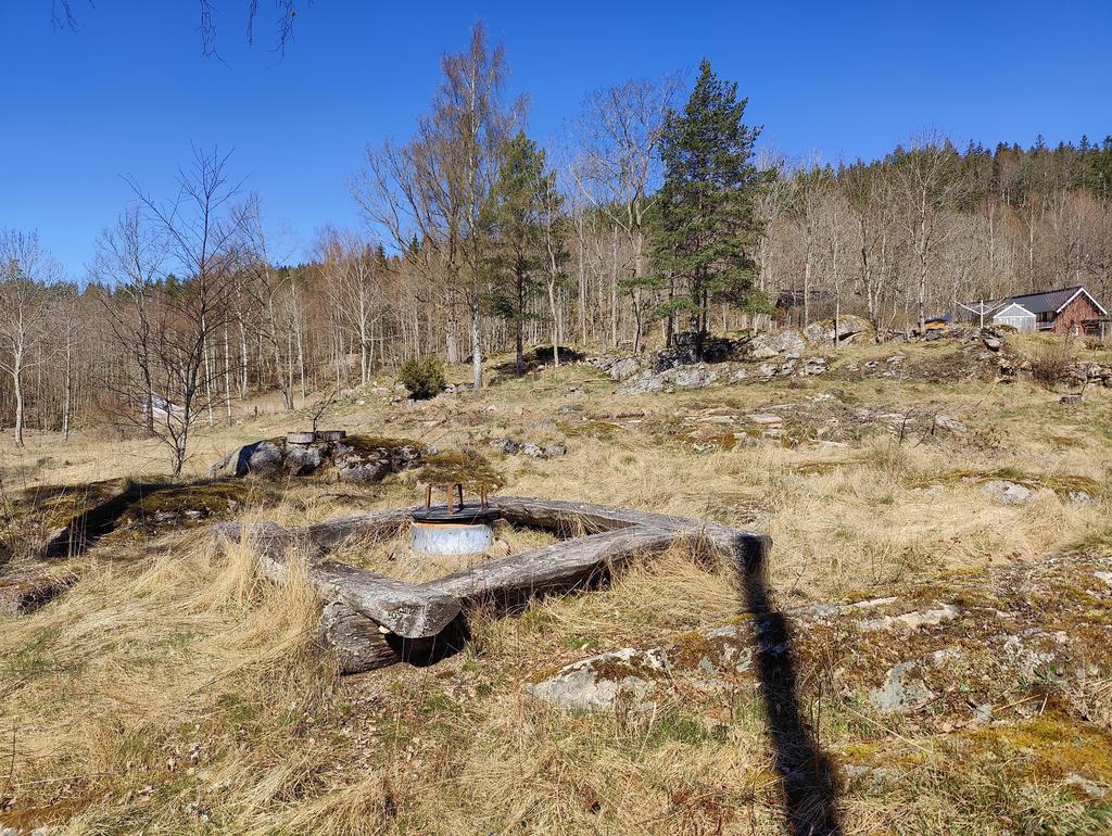 vy mot norr, tomten sträcker sig ca fram till närmsta tall.