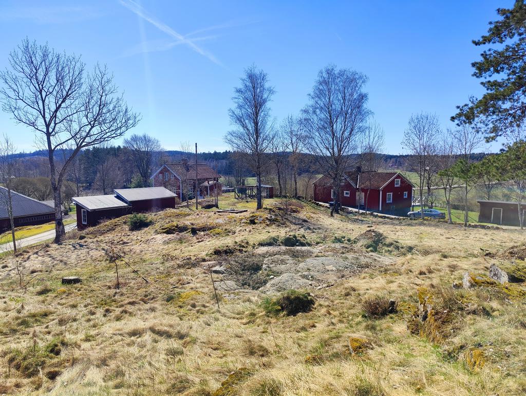 Tomten, berg i dager och ljust läge