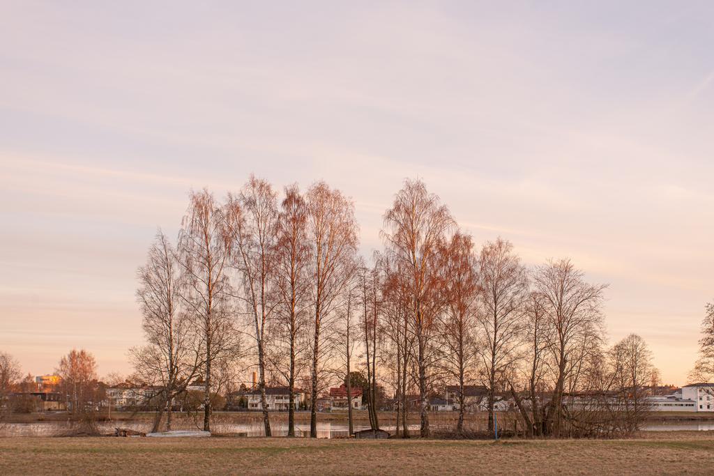 Områdesbild