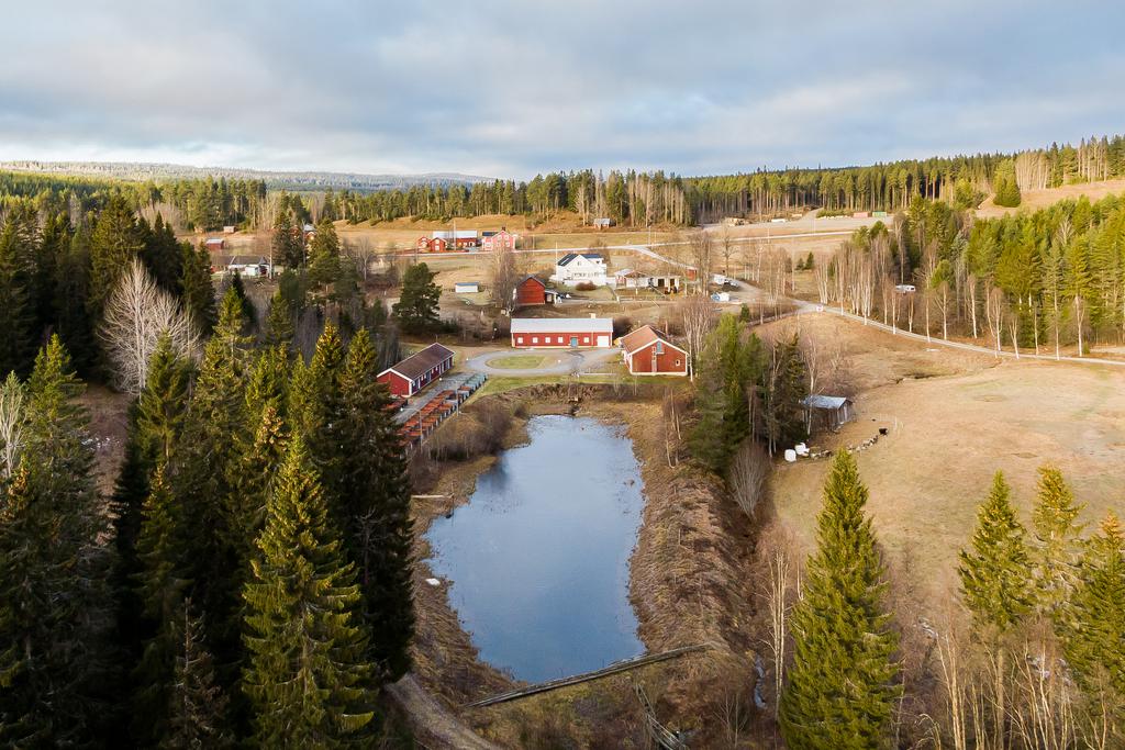 Välkommen till Semlan.