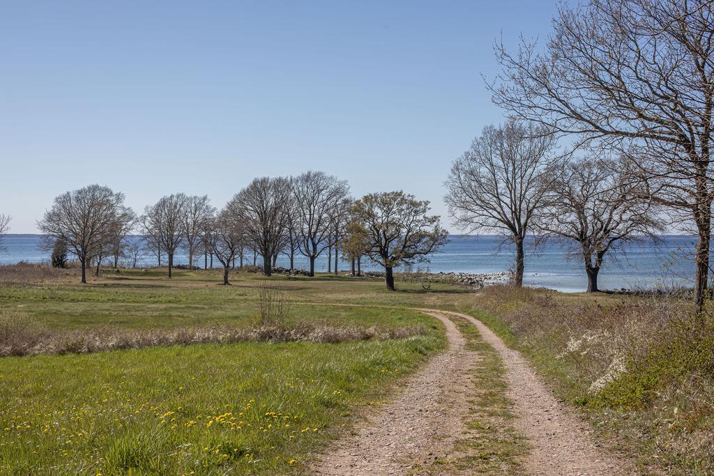 Områdebild Lökenäs