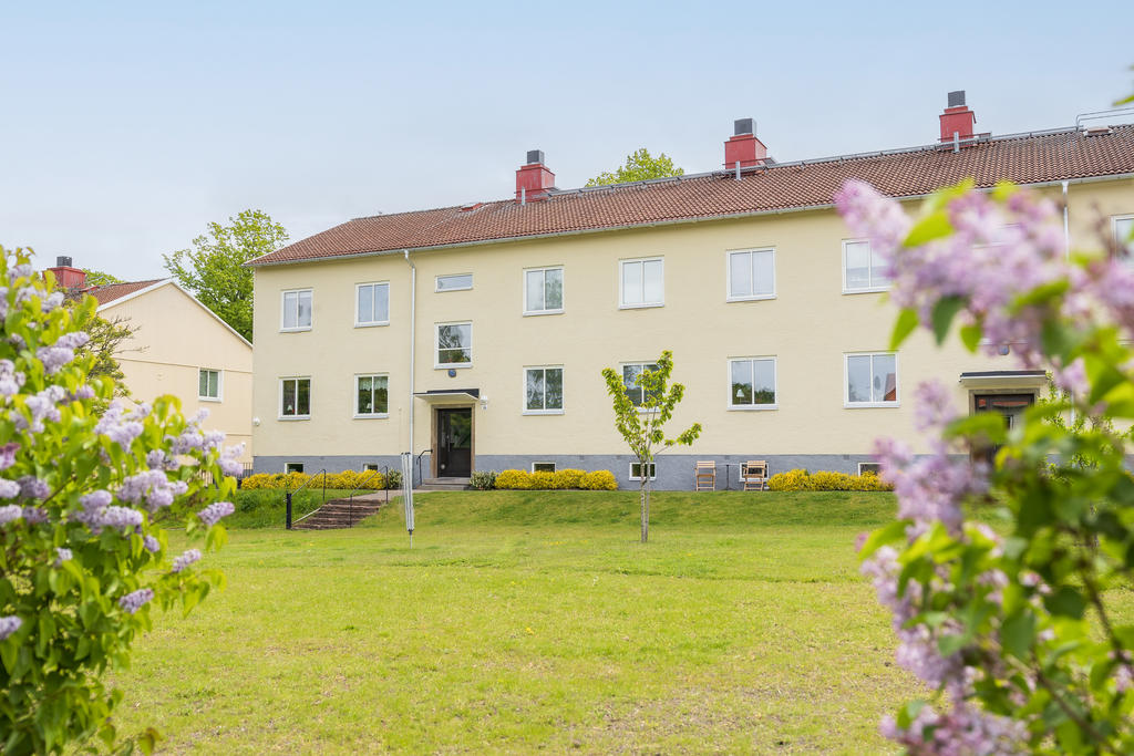 Föreningen