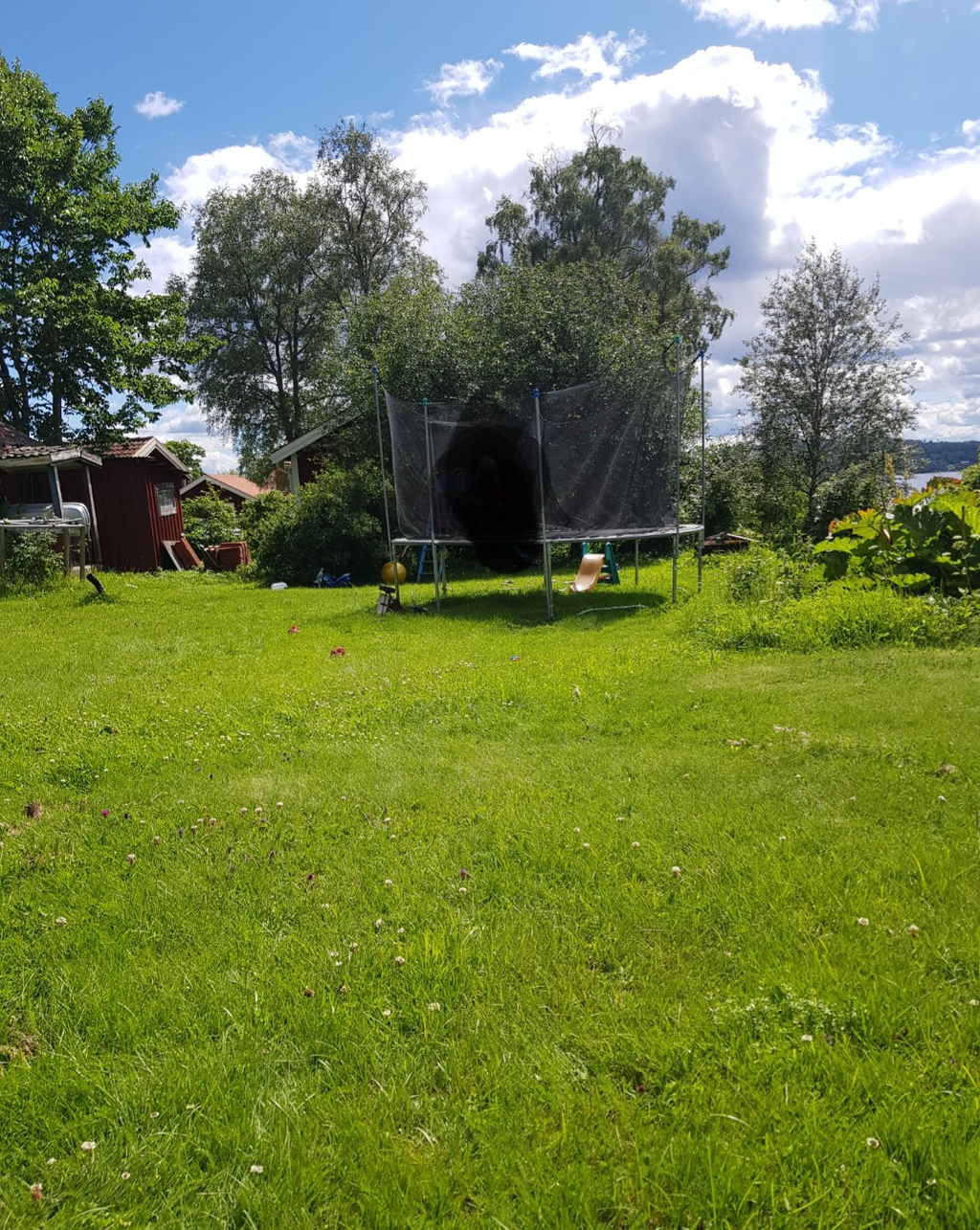 Säljarens egna sommarbilder