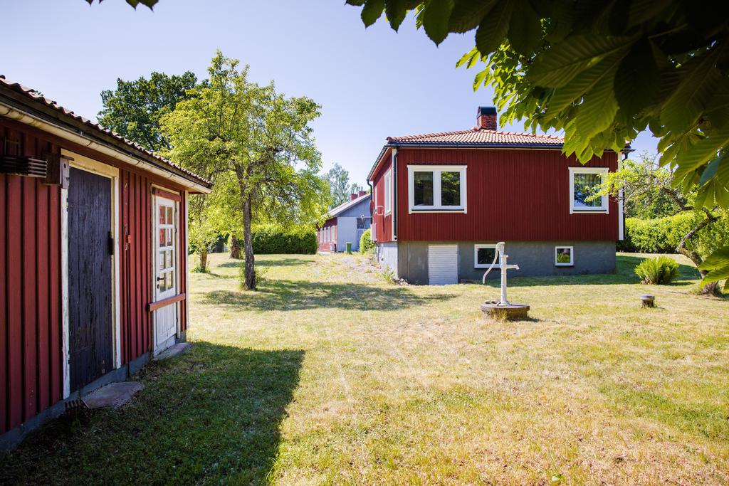 Vy över trädgården